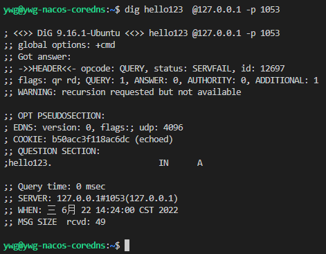 nacos-coredns-test